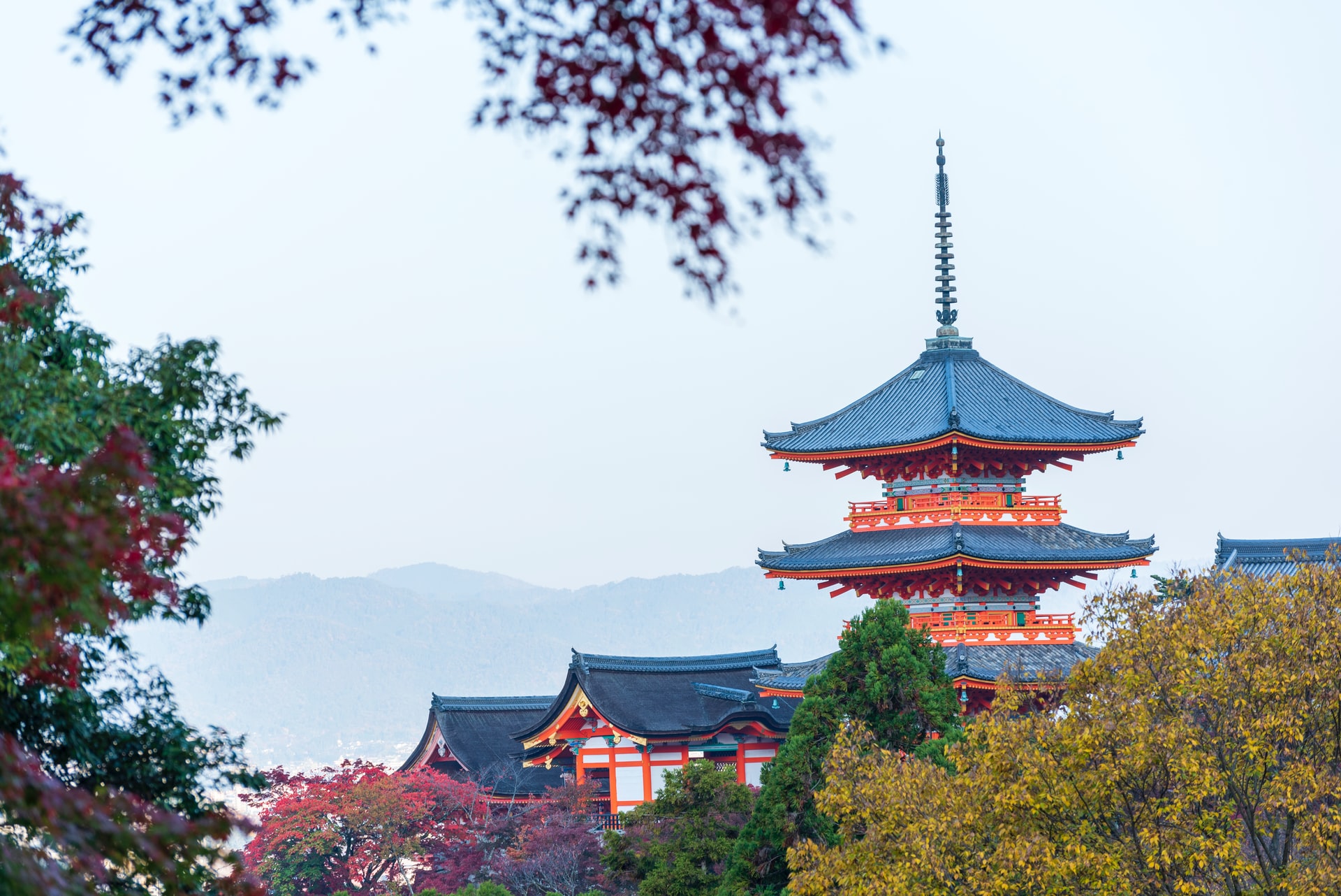 ウォーキング11月11日『鷹峯・光悦村を訪ねて』中止のお知らせ